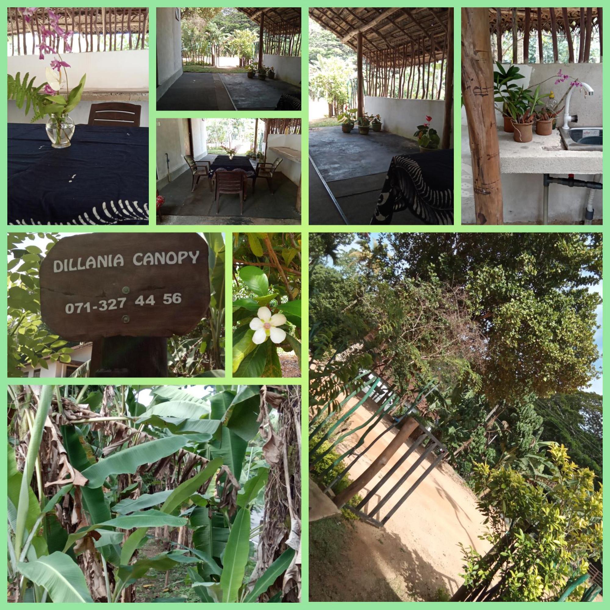 Dillenia Canopy Mirissa Exterior foto